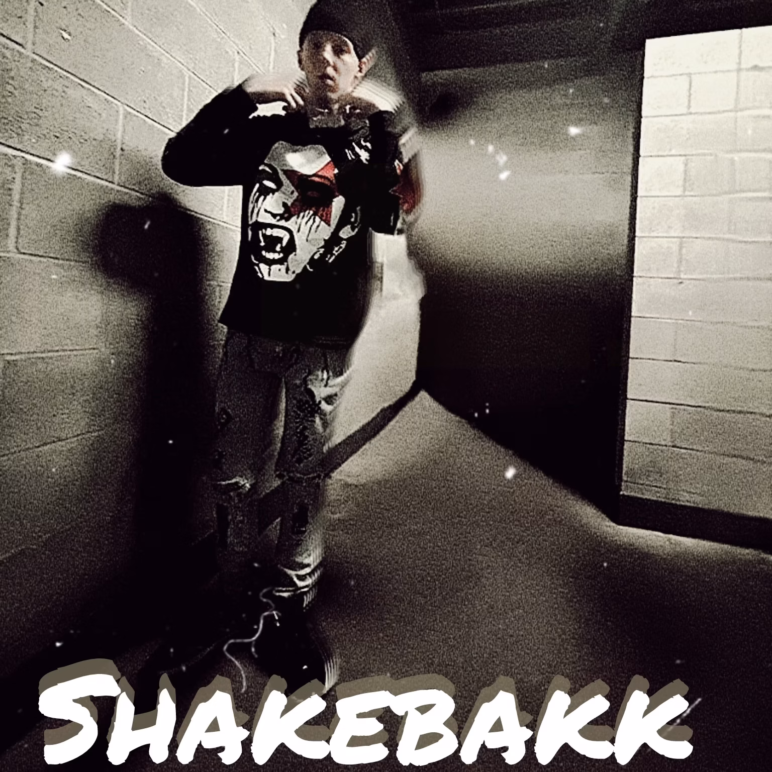 Shakebakk cover art